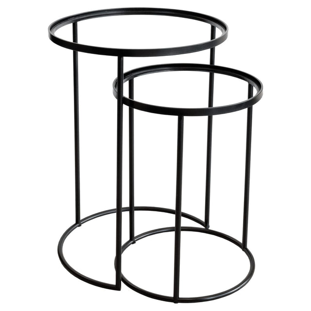 Set of 2 Black Tray Tables