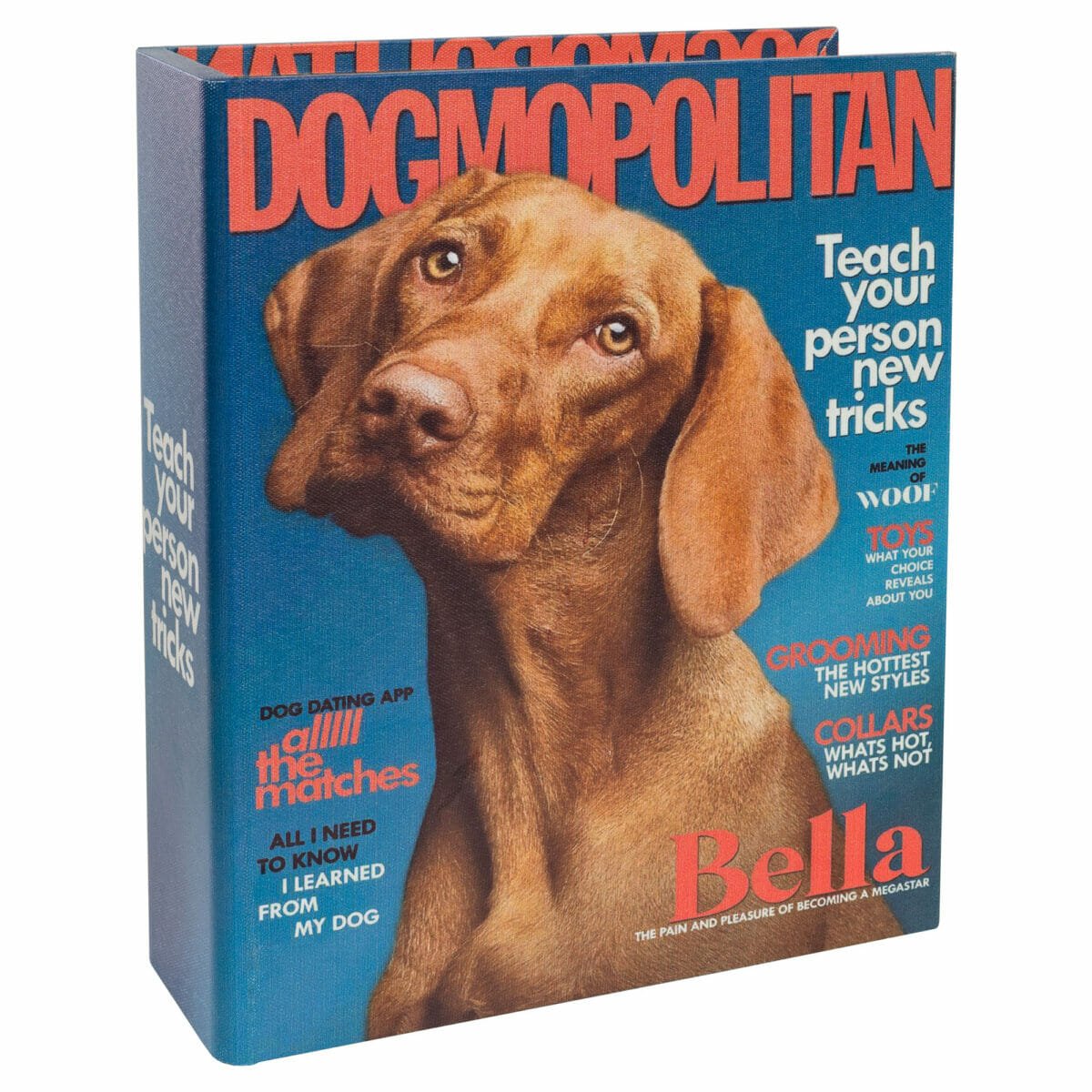 Dogmopolitan Book Box Front