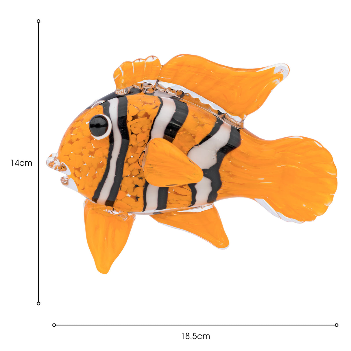 Glass Clown Fish