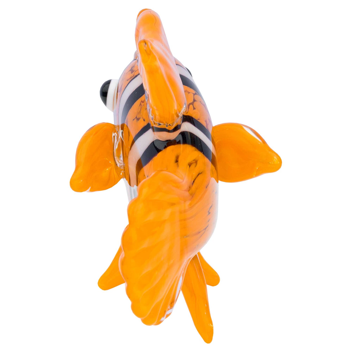 Glass Clown Fish