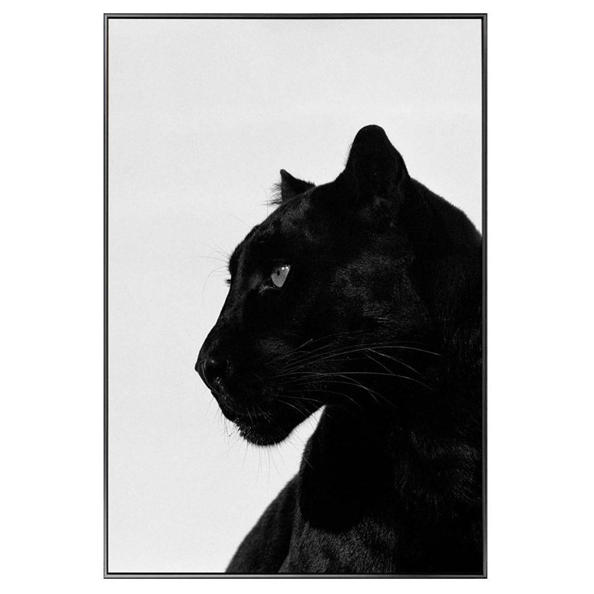 Framed Glass Black Panther Art