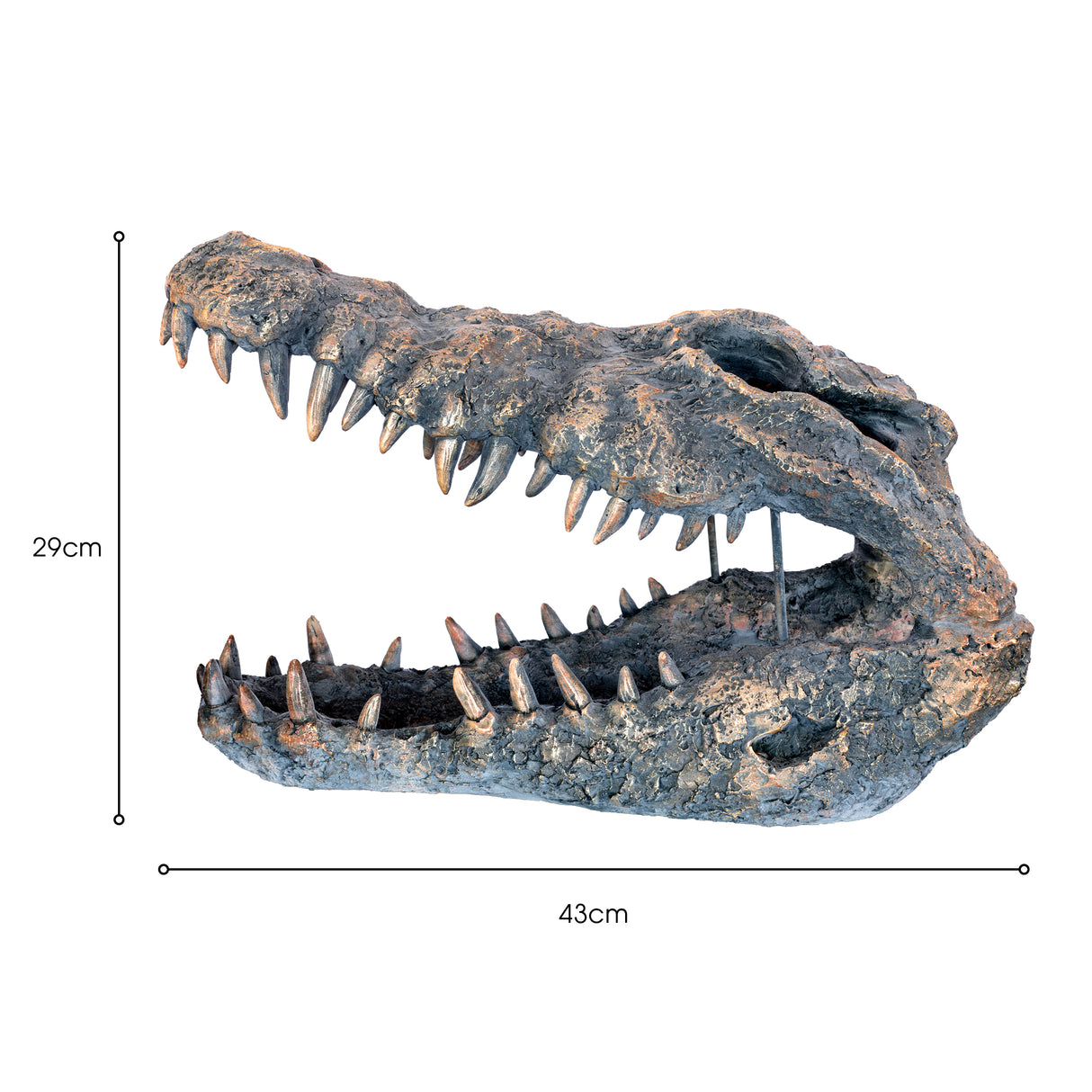 Crocodile Skull Sculpture