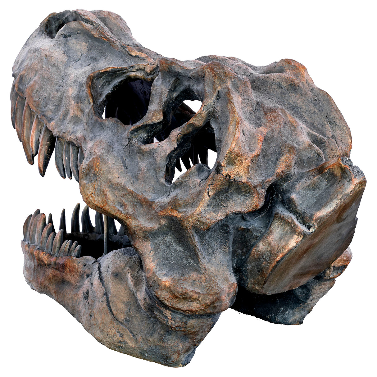 Dinosaur Skull Sculpture