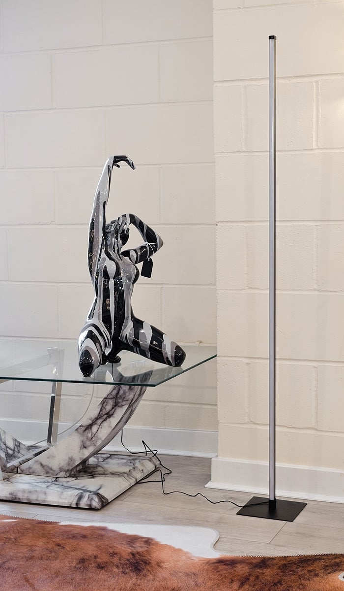 Matte Black Dimmable LED Floor lamp