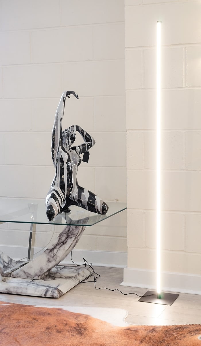 Matte Black Dimmable LED Floor lamp