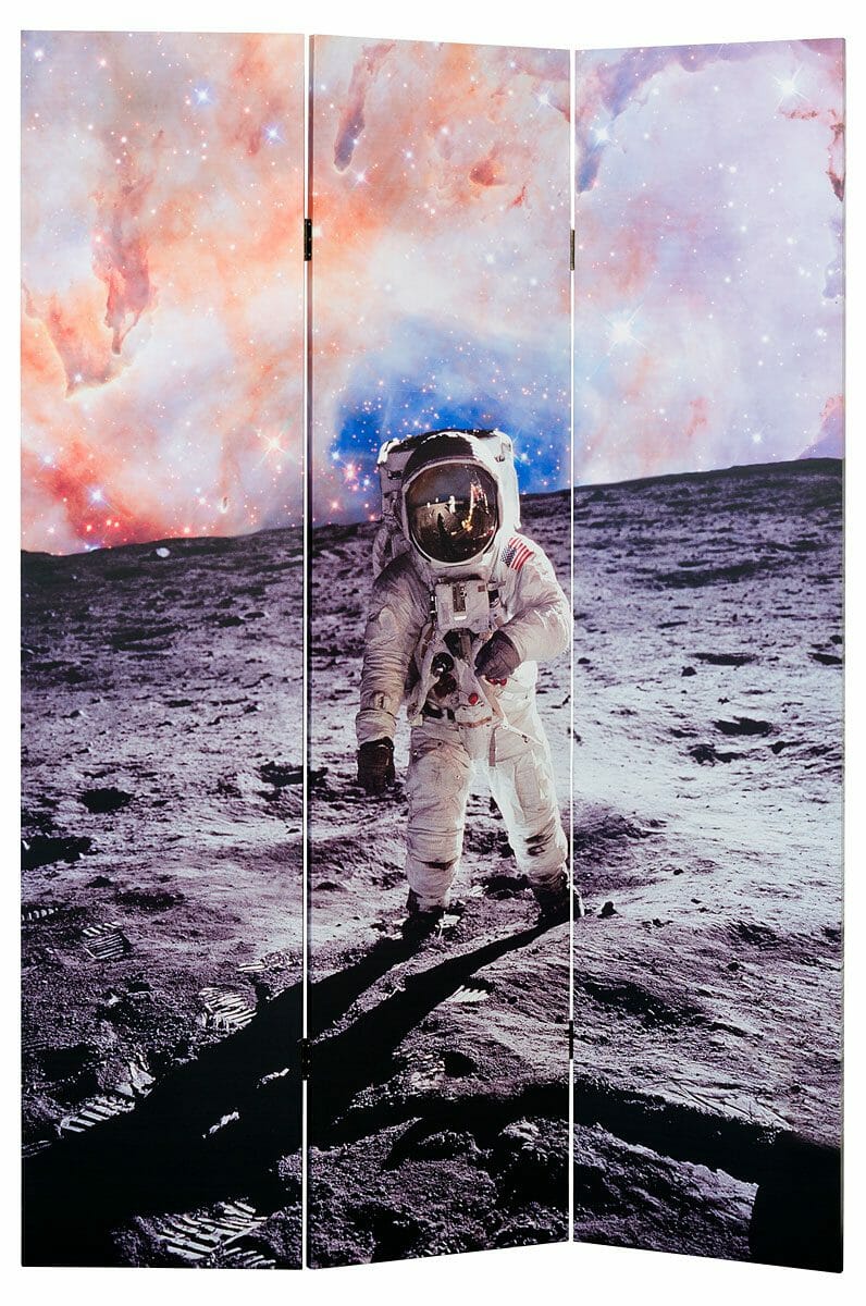 Space Man Canvas Room Divider
