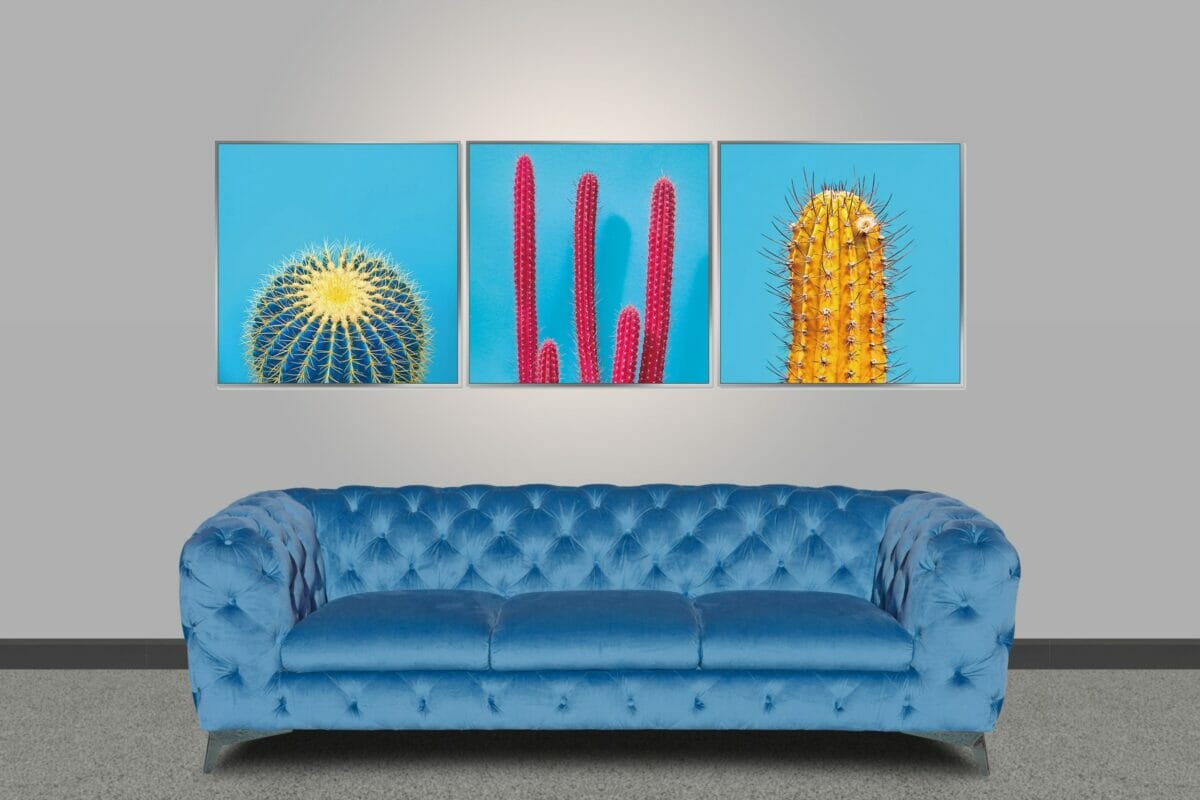 Colourful Cactus Wall Art