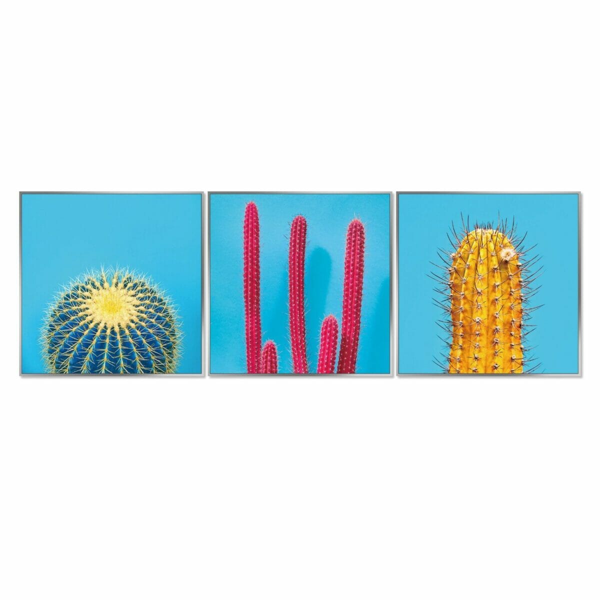 Colourful Cactus Wall Art
