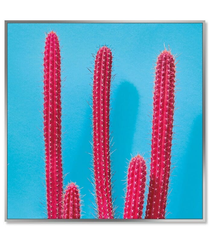 Colourful Cactus Wall Art