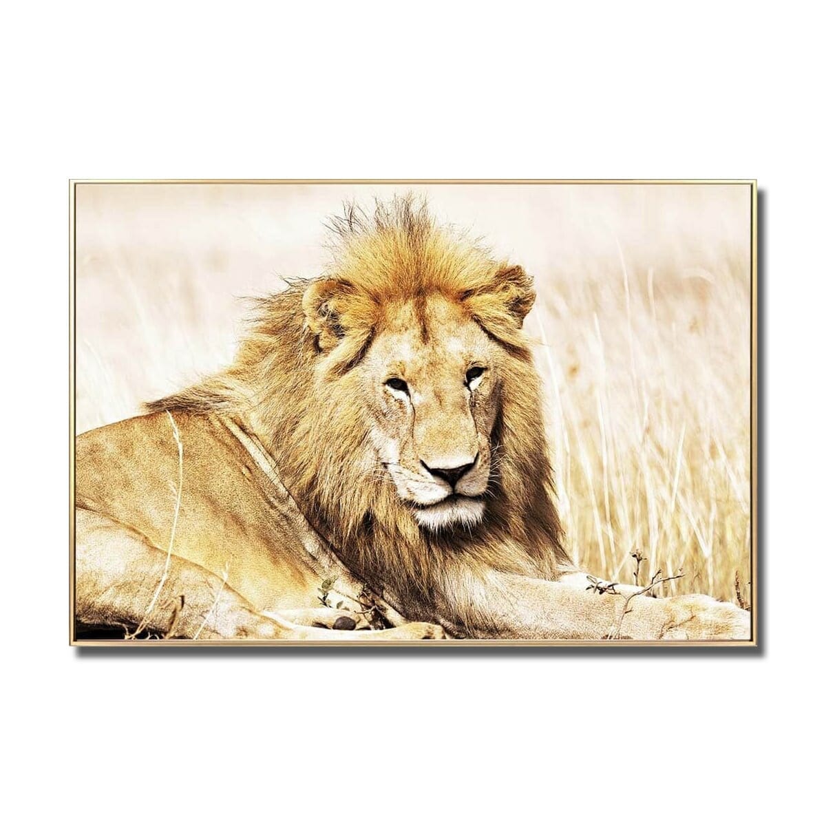 Golden Lion Glass Wall Art
