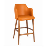 Lumini Bar Stool