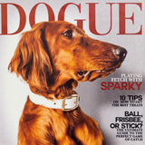 Dogue Book Box Set Detail