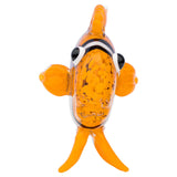 Glass Clown Fish