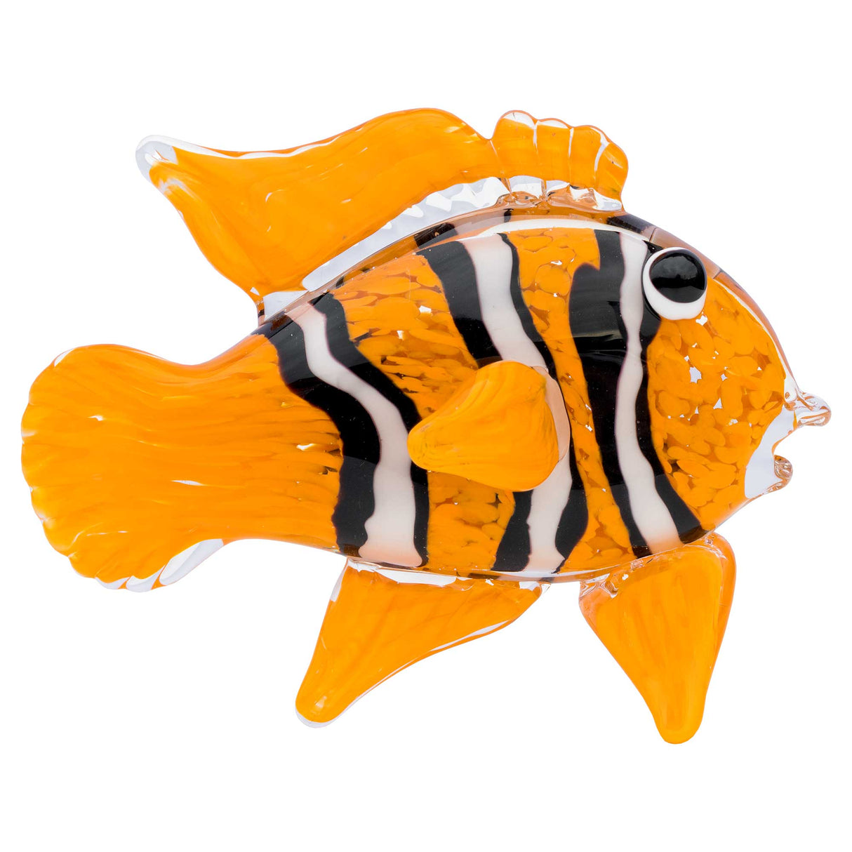 Glass Clown Fish