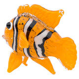 Glass Clown Fish