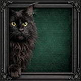 Velvet Illusion Beyond the Frame Artwork Collection