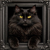 Velvet Illusion Beyond the Frame Artwork Collection