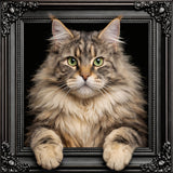 Velvet Illusion Beyond the Frame Artwork Collection