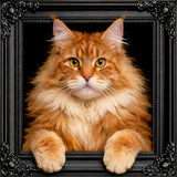 Velvet Illusion Beyond the Frame Artwork Collection