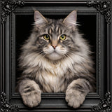 Velvet Illusion Beyond the Frame Artwork Collection
