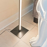 Matte Black Dimmable LED Floor lamp