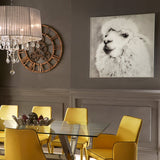 Alpaca Glass Wall Art