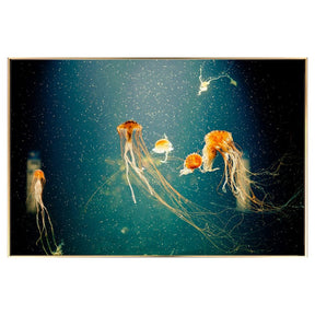 Jellyfish Glass Wall Art – Wall Art by Febland