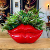 Red Lips Planter