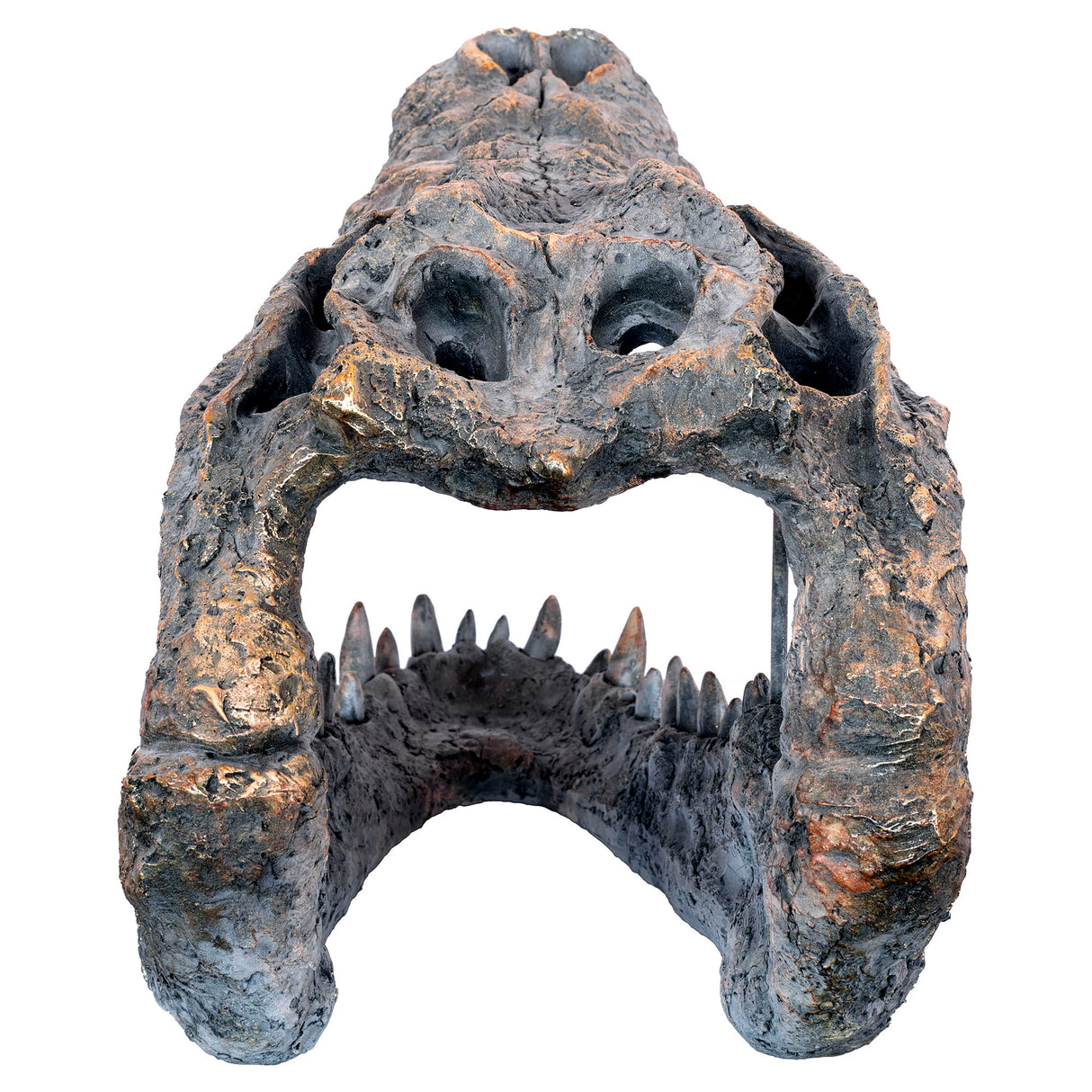 Crocodile Skull Sculpture