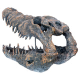 Crocodile Skull Sculpture