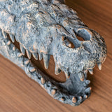 Crocodile Skull Sculpture