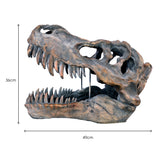 Dinosaur Skull Sculpture