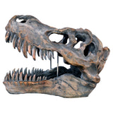 Dinosaur Skull Sculpture