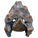 Dinosaur Skull Sculpture