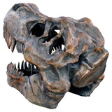 Dinosaur Skull Sculpture