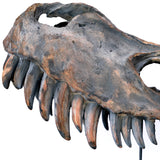 Dinosaur Skull Sculpture