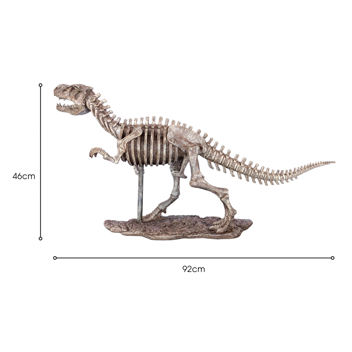 Dinosaur Skeleton Sculpture
