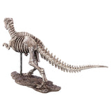 Dinosaur Skeleton Sculpture