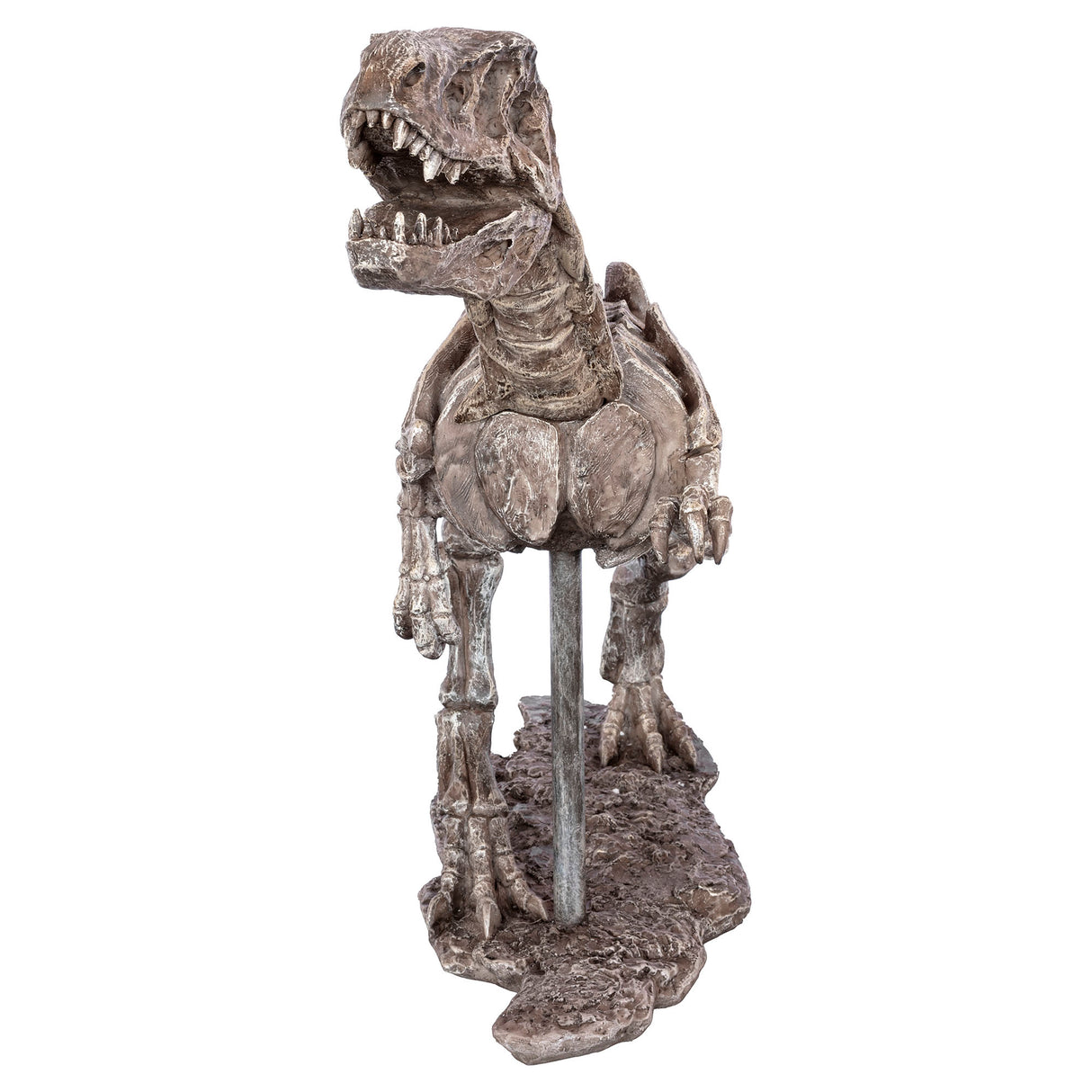 Dinosaur Skeleton Sculpture