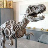 Dinosaur Skeleton Sculpture