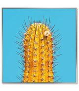 Colourful Cactus Wall Art