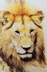 Golden Lion Glass Wall Art