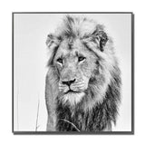Black and White Lion Glass Wall Art