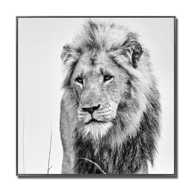 Black and White Lion Glass Wall Art