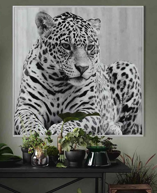 Black and White Leopard Glass Wall Art