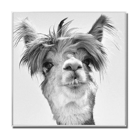 Llama Glass Wall Art